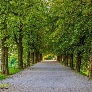 Meet your Posher, Voltaire